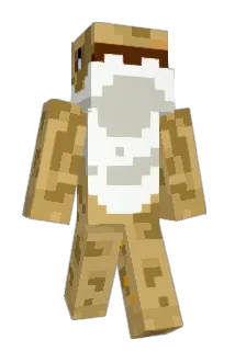 drd0_0 Minecraft avatar full body