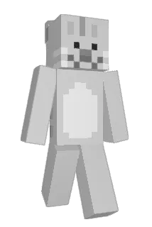 drdog12 Minecraft avatar full body