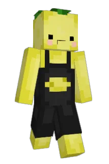 dreamlife23 Minecraft avatar full body