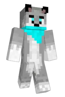 drew01230 Minecraft avatar full body