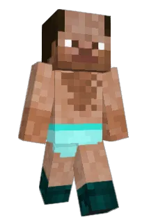 drfuenke Minecraft avatar full body