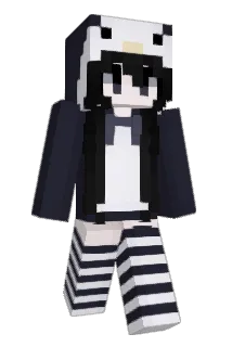 drh1 Minecraft avatar full body