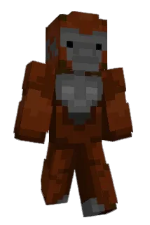 drhun Minecraft avatar full body