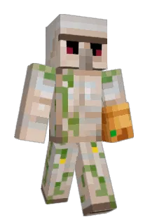 drippykota Minecraft avatar full body