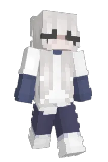 drisstt Minecraft avatar full body