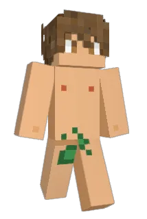 dritzy1 Minecraft avatar full body