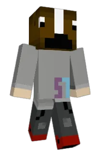 drivenwarryer57 Minecraft avatar full body