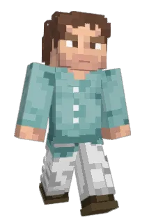drivvo Minecraft avatar full body