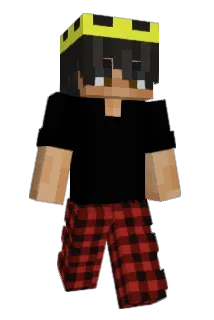 drmaxe Minecraft avatar full body