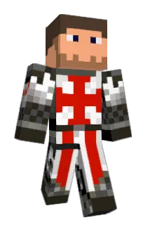 drn21 Minecraft avatar full body