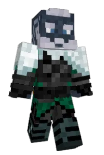 drodroy Minecraft avatar full body