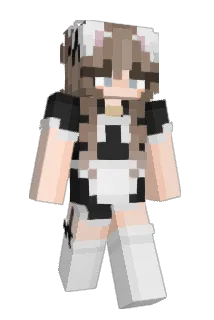 droflag64 Minecraft avatar full body
