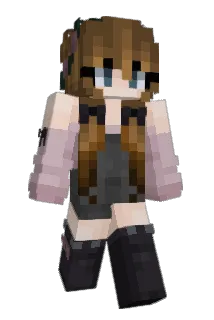 drollink Minecraft avatar full body
