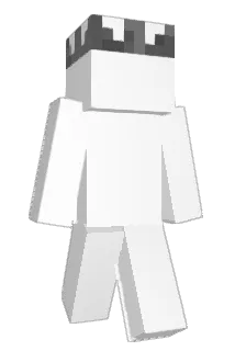 drowner2000 Minecraft avatar full body