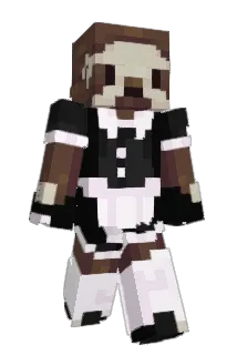 drsfb Minecraft avatar full body
