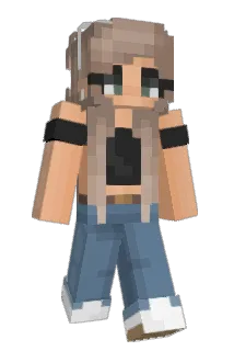drumiq Minecraft avatar full body