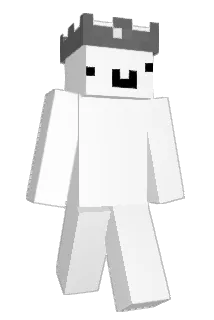drumstlckz Minecraft avatar full body