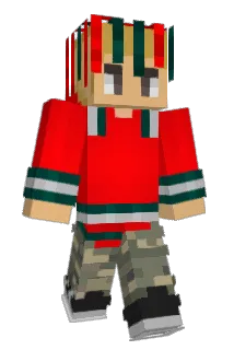 ds225 Minecraft avatar full body