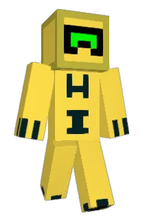 ds564k Minecraft avatar full body