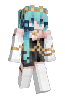 ds630 Minecraft avatar full body
