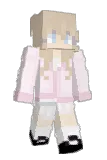 dsce Minecraft avatar full body