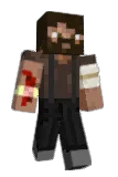 dsdds Minecraft avatar full body