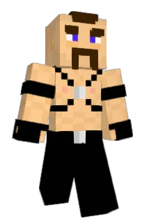 dshib1000 Minecraft avatar full body