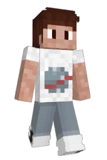 dsmith529 Minecraft avatar full body
