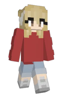dsmp100 Minecraft avatar full body