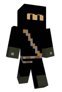 dsrogers Minecraft avatar full body