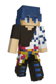 dss300 Minecraft avatar full body