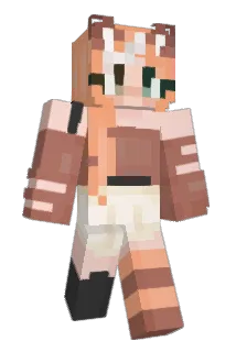 dsuth Minecraft avatar full body