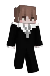 dsviid Minecraft avatar full body