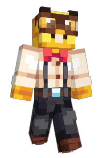 dsw00 Minecraft avatar full body