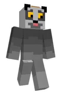 dt247 Minecraft avatar full body
