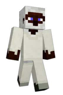 dth1000 Minecraft avatar full body