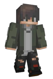dtimur3 Minecraft avatar full body