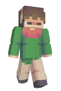 dtmijfeu Minecraft avatar full body