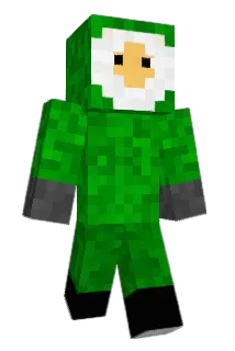dtoyee Minecraft avatar full body