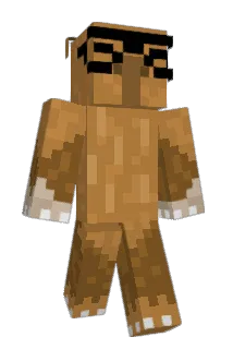 dtx24 Minecraft avatar full body