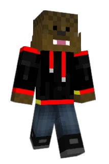 duaned Minecraft avatar full body