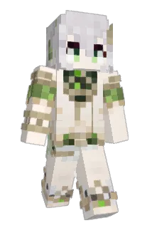 duange2 Minecraft avatar full body
