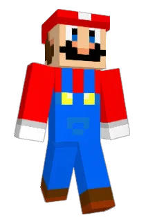 dublinboy Minecraft avatar full body