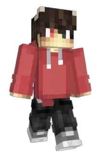 dublowduck Minecraft avatar full body
