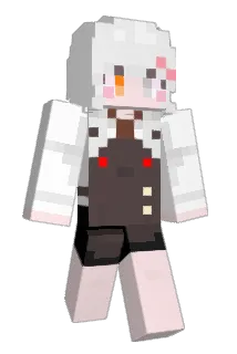 dubu200708 Minecraft avatar full body