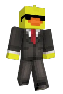duck1195 Minecraft avatar full body