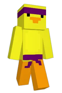 duck24710 Minecraft avatar full body
