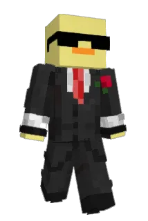 duck3 Minecraft avatar full body