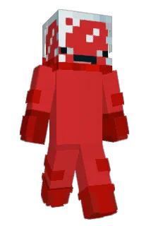 duckduckgoose06 Minecraft avatar full body