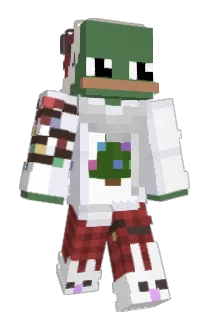 duckingkiwi Minecraft avatar full body